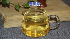 普洱芽茶：含义、品质与分类全解析