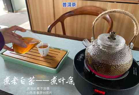 普洱茶：蒸煮分开泡可行吗？有何影响？哪种方式更好？适合蒸煮吗？