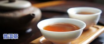 普洱茶物语-普洱茶茶语是什么