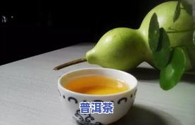 普洱茶物语-普洱茶茶语是什么