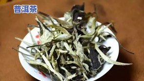 用普洱茶料做的白茶有哪些-用普洱茶料做的白茶有哪些品种