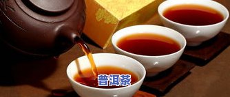 普洱茶的时代秀-普洱茶历史视频