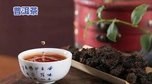 大黄普洱茶-普洱大黄茶属于什么茶