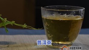 普洱茶境况-普洱茶分析