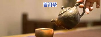 品鉴普洱茶：感受与收获的深度探索