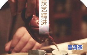 品鉴普洱茶：感受与收获的深度探索