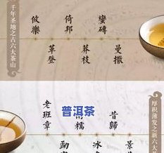 普洱茶1951茶价：1950-1951年价格历史回顾与分析