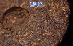 品鉴普洱茶的四大要诀与点评