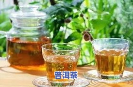 一杯茶一般多少毫升？详解茶叶与水量的关系