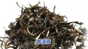 普洱茶：特点、生茶与云南对比全解析