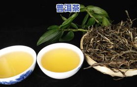 生茶是什么茶类-生茶是什么茶?