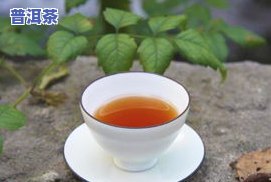 抖音普洱茶推荐：哪个、款式性价比高？