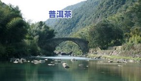 黄山富溪乡茶叶市场地址、电话及批发信息全览