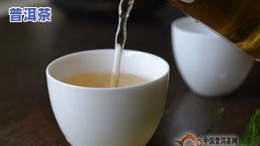 普洱茶里边白点是什么意思？高清图片解析全在这！