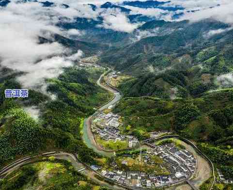 黄山富溪乡茶叶市场-黄山富溪乡茶叶市场地址