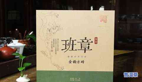 深入探索：冰岛普洱茶品鉴指南及视频教程