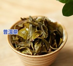 冰岛普洱茶拍照-冰岛普洱茶拍照图片大全