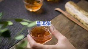 普洱茶温阳-普洱是温补的吗