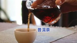 普洱茶产业高峰期是几月-普洱茶产业高峰期是几月份