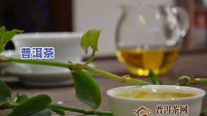 普洱茶产业高峰期是几月-普洱茶产业高峰期是几月份