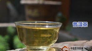 普洱茶可以加什么煮茶好喝-普洱茶可以加什么煮茶好喝呢