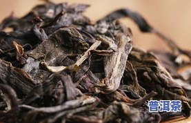 冰岛普洱茶属于哪类茶种-冰岛普洱茶属于哪类茶种类