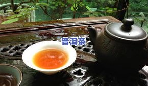 各大普洱茶特点是什么-各大普洱茶特点是什么呢