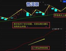 a股普洱茶：龙头股、股票代码及行业走势分析