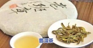 普洱茶班章冰岛易武的含义与区别：特点解析