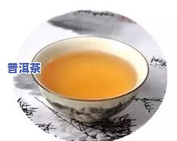 普洱茶班章冰岛易武的含义与区别：特点解析