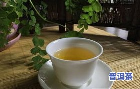 普洱茶储藏方法全解析：包括种类、方式与保存技巧