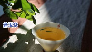 普洱茶土腥味太重怎么回事？女生能喝吗？看视频熟悉详情！