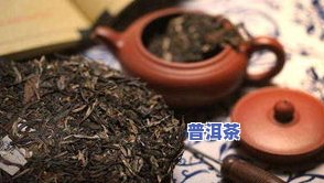 普洱茶饼泡几分钟：时间、技巧与口感的关系