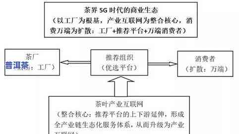 普洱茶的制作工序：详细解析每个步骤与流程