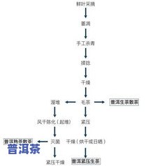 普洱茶的制作工序：详细解析每个步骤与流程