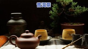 普洱茶喝了失眠吗？探讨其影响及禁忌人群