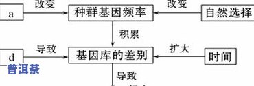 普洱茶头的形成原理图示视频教程：详细解析其形成过程