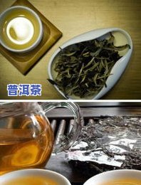 喝普洱茶头晕是怎么了-喝普洱茶头晕是怎么了呢