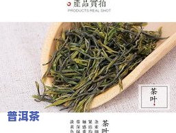 昭君白茶1号价格：天骄、保质期如何？