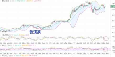 普洱茶价格年份全图：详细行情与趋势分析