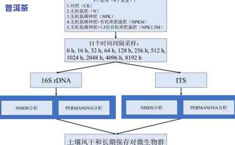 未开封的茶叶保质期多久？作用因素与保存方法解析