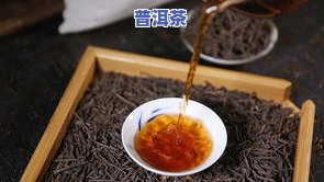 普洱茶等级一级与五级口感比较，哪个更好？