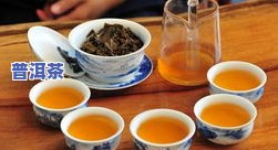 昌泰号普洱茶2005正品价格全览：生茶、7548等品种一应俱全