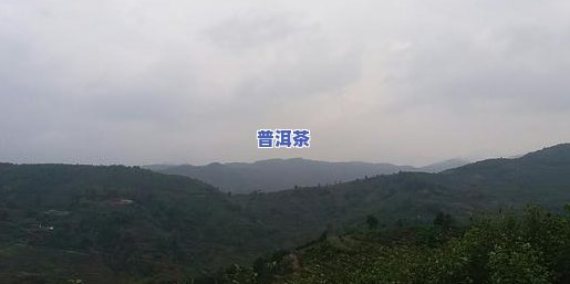 天门山普洱茶好喝吗怎么样-天门山普洱茶好喝吗怎么样啊