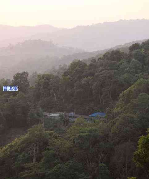 天门山普洱茶好喝吗怎么样-天门山普洱茶好喝吗怎么样啊