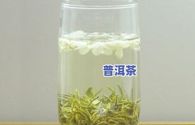 碧潭飘雪新茶何时上市？开花时间与上市时间的关系