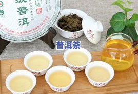 云南曼赖普洱茶-云南曼捌普洱茶