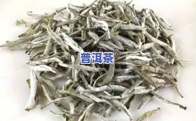 白毫银和普洱茶的区别-白毫银和普洱茶的区别是什么