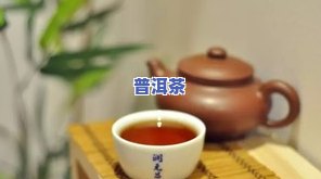 全程揭秘：普洱茶制作过程小视频大全教程