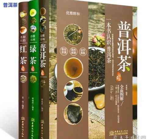 人如何品鉴普洱茶？探究人的普洱茶文化